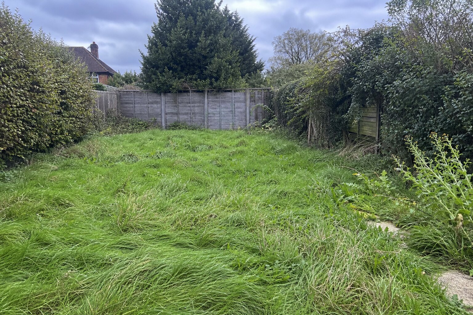 Lawn Care Refresh before