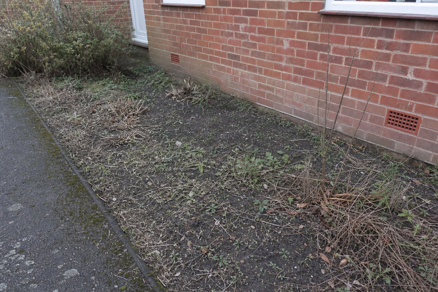 Seasonal Border Planting before