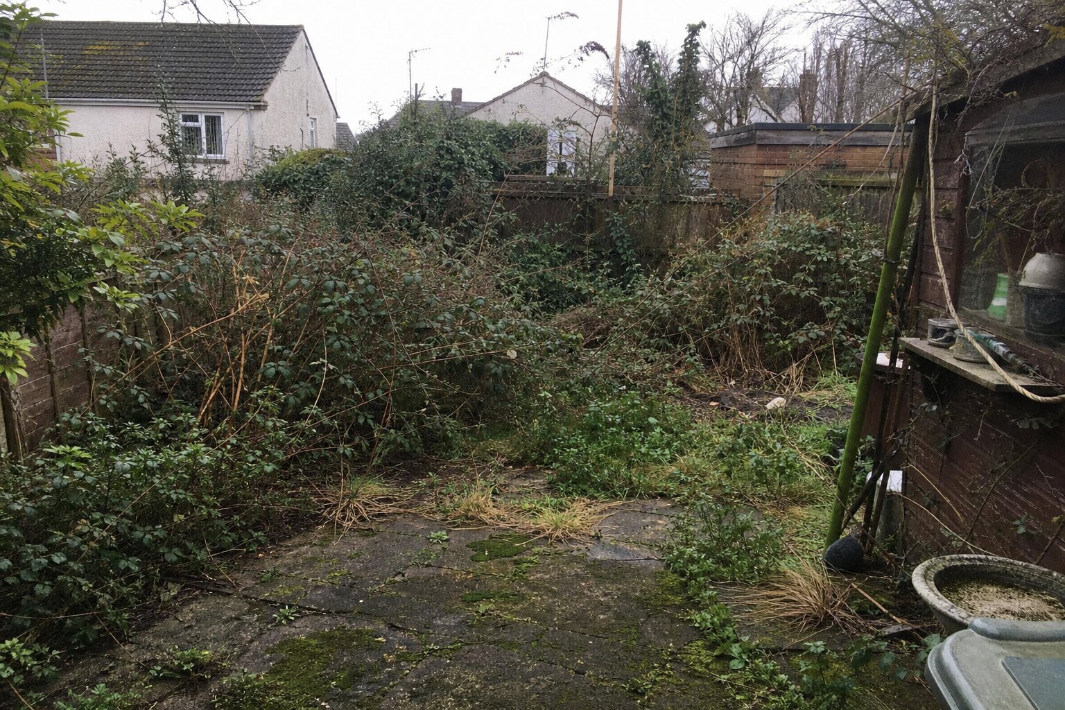 Garden Tidy-up before